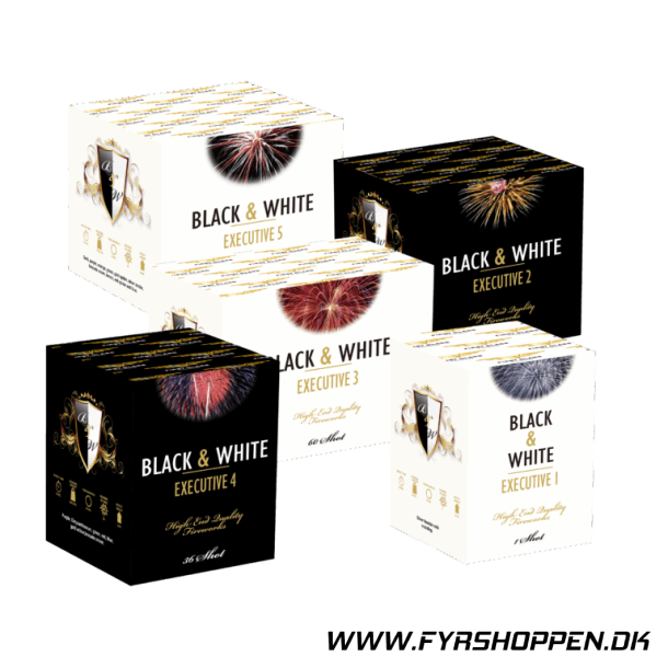 Excellence batterisortiment 2.0 Firstclass