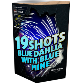 JW653 Blue dahlia with blue mine Jorge