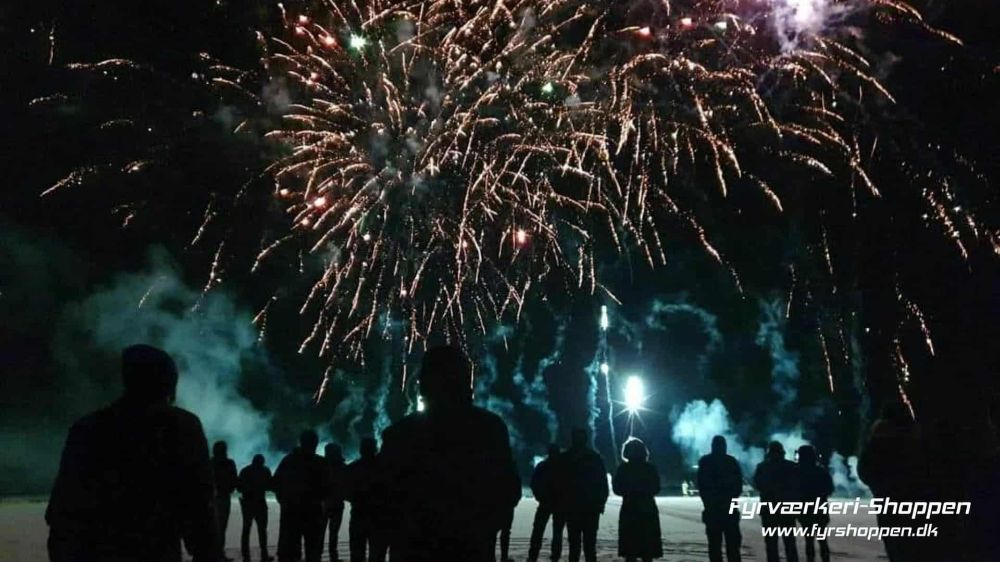 K&aelig;mpe demo og mange mennesker der ser fyrv&aelig;rkeri