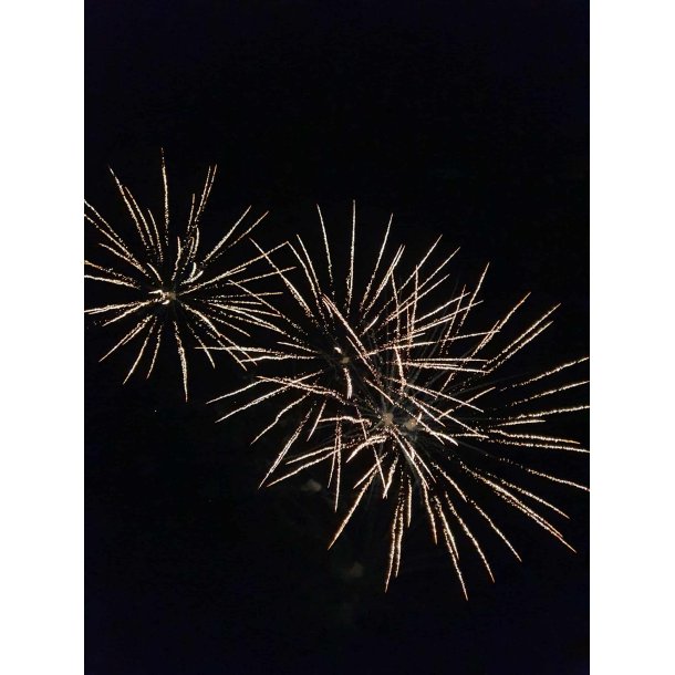 Afskydning af konsumfyrv�rkeri 