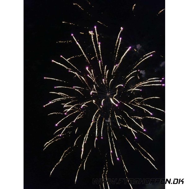 Festfyrv�rkeri Basic