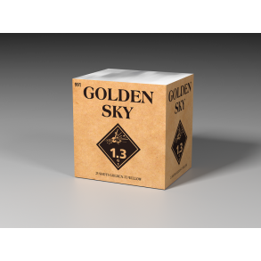 ✨ Golden Sky  set p TV2! ✨